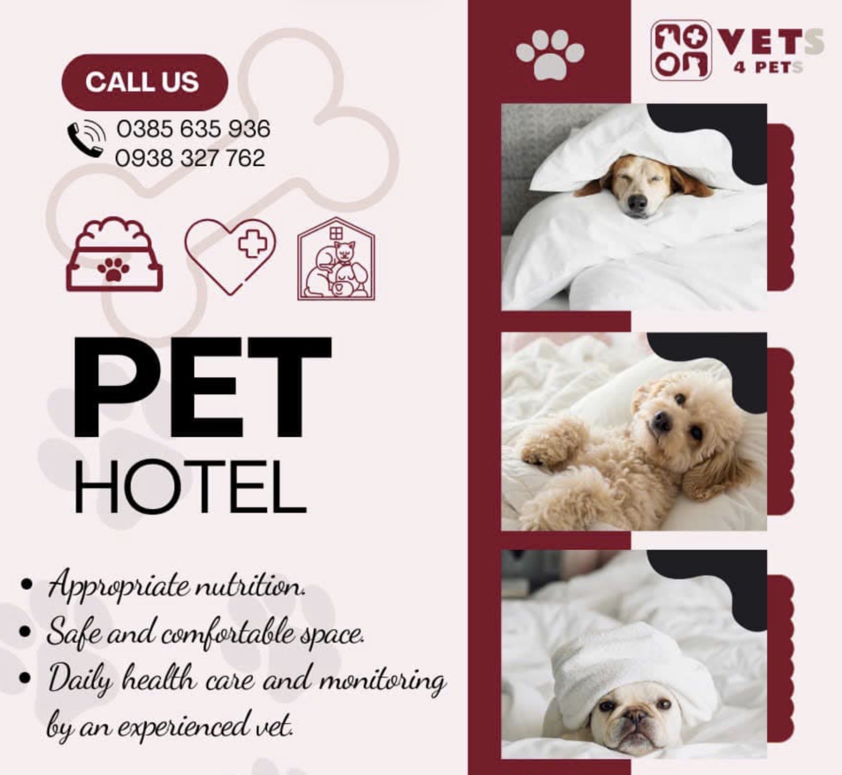 Pet Hotel Dog